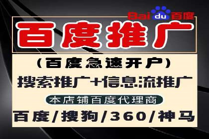 行业领先企业的SEM竞价代运营案例解析